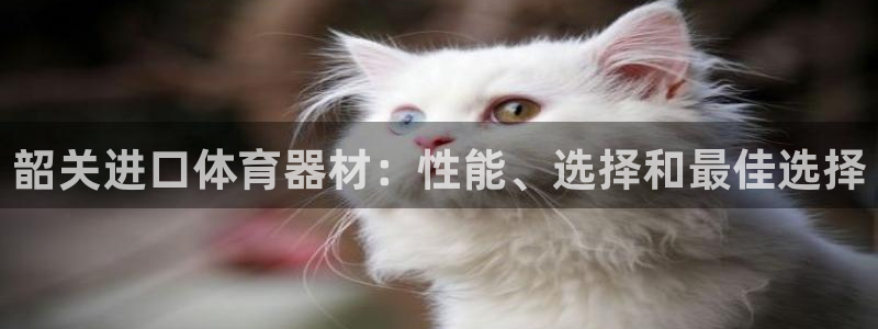 极悦平台官方网站入口网址:韶关进口体育器材:性能、选择和最佳