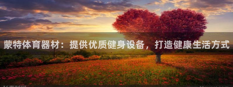 极悦平台家7O777:蒙特体育器材:提供优质健身设备,打造健