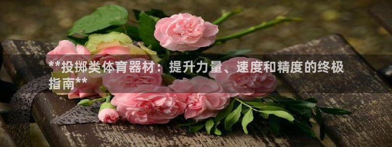 极悦平台客服团队名称:**投掷类体育器材:提升力量、速度和精